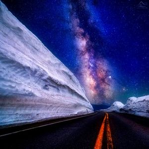 Meet your Posher, Katrina